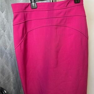 Elegant Pink Women's Skirt